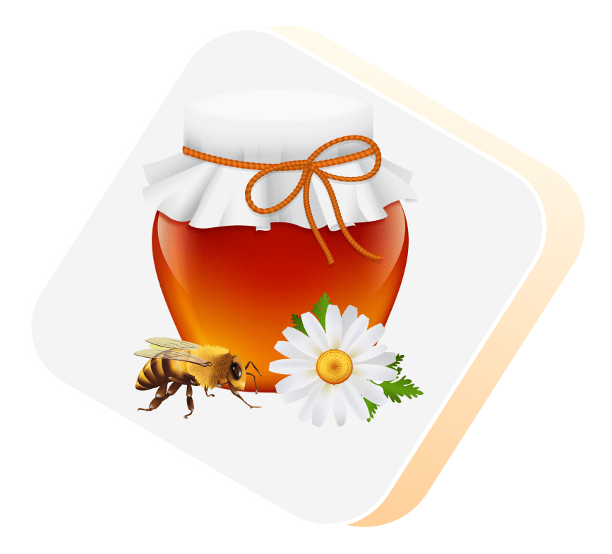 Bee with honey