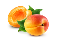 Fresh organic apricot